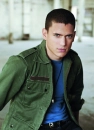 wentworth miller