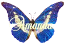 Name