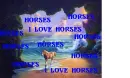 horses