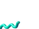 worms