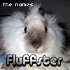 fluffster