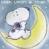 wish apon a star