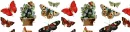 Butterflies 1