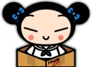 pucca