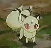 kirara