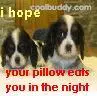 i hope ur pillow eats u