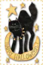 halloween black cat