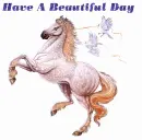 have a beautiful day