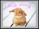i wub u!