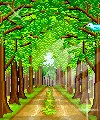 cute kawaii nature