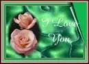 I love you