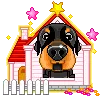 cute kawaii dog