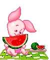 cute kawaii piglet watermelon