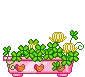 cute kawaii clover bunny hiding