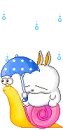 cute kawaii mashimaro