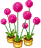 cute kawaii flower