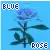 Blue Rose Icon