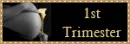 1st trimester