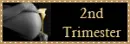 2nd trimester
