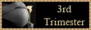 3rd trimester