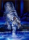 Water beast