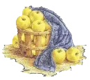 Basket Of Apples