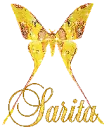Yellow Butterly - Sarita