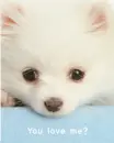 You Love Me?
