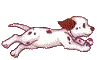 Running Dog