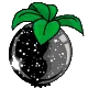 void berry