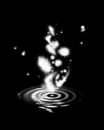 water feather