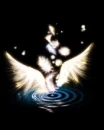 water feather