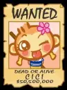 cute kawaii yoyocici