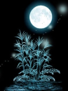 night scene