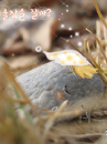 cute kawaii stone