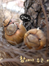 Cute Acorns