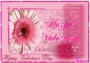 valentine's day