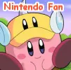 Nintendo Fan