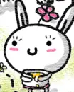 cute kawaii honey bunny