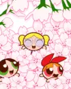 cute kawaii  powerpuff