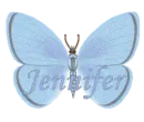 Jennifer