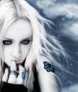 Blue Butterfly