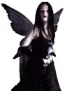Goth Butterfly