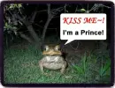 Kiss Me