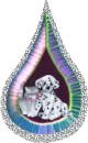 Teardrop