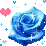 BLUE ROSE