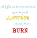 Another picture to burn