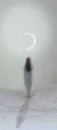 GIRL AND MOON