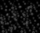 star bubbles