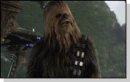 Chewie